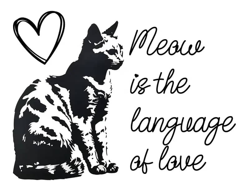 Meow is the Language of Love